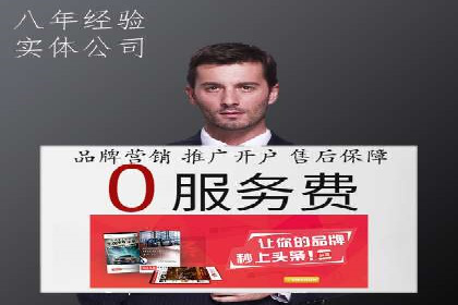 某电商平台的SEM策略与效果展示